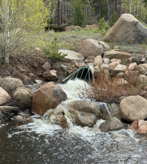 Runoff